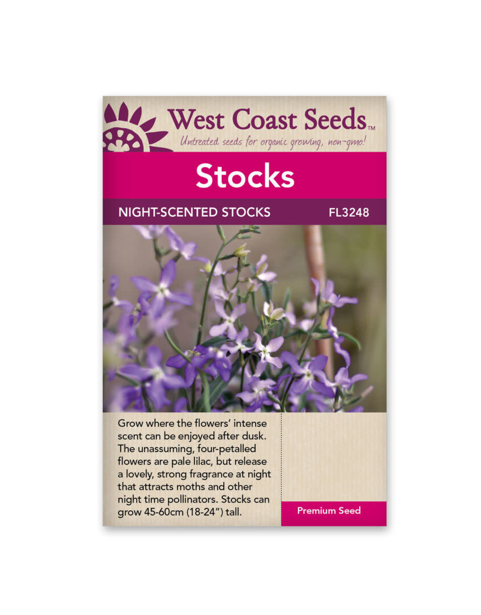 West Coast Seeds Stocks Evening Scented