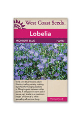 West Coast Seeds Lobelia - Midnight Blue