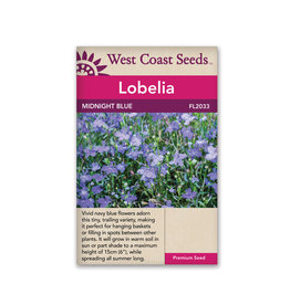 West Coast Seeds Lobelia - Midnight Blue