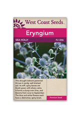 West Coast Seeds Sea Holly
