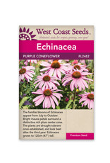 West Coast Seeds Echinacea - Coneflowers Purple