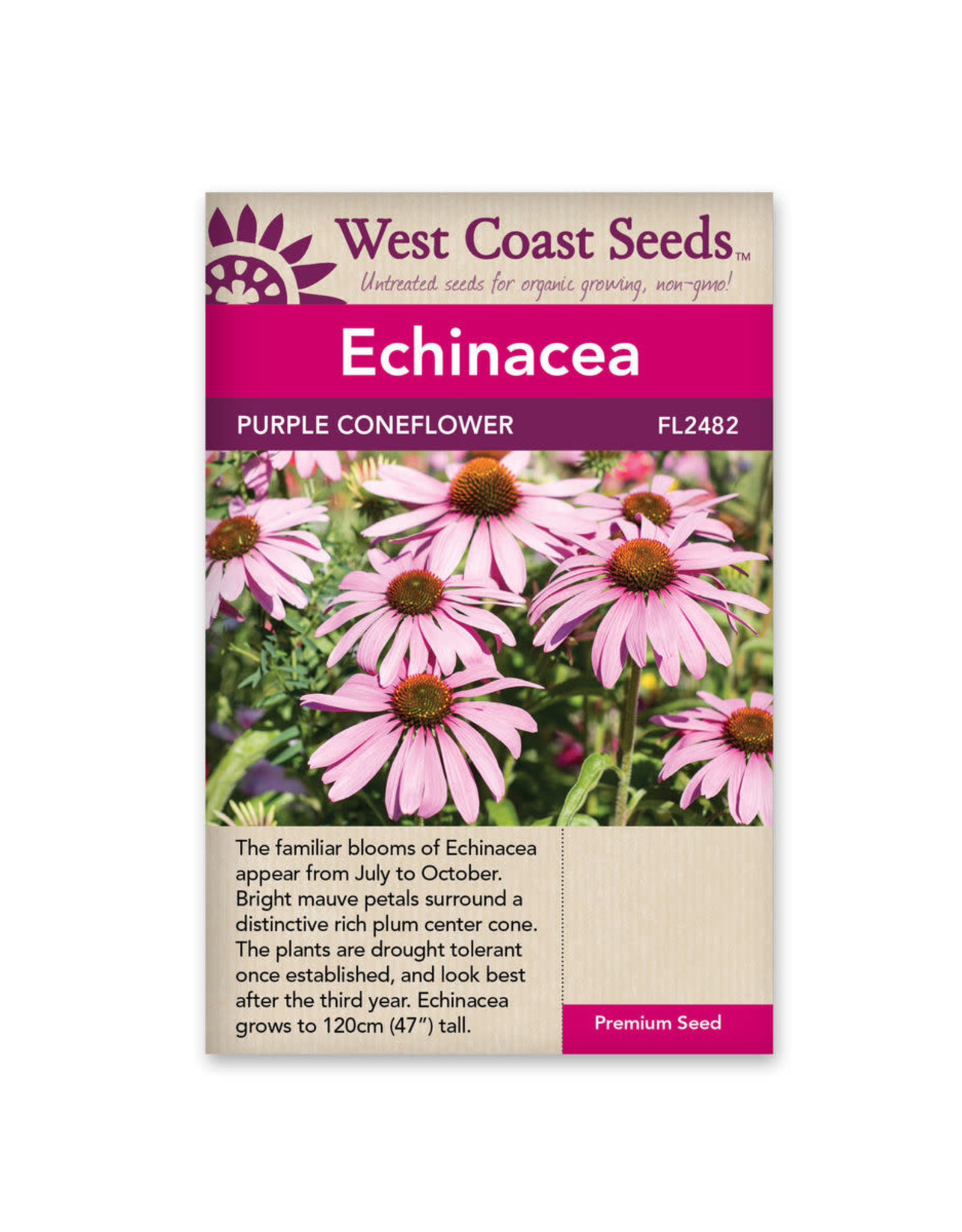 West Coast Seeds Echinacea - Purple Coneflower