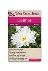 West Coast Seeds Snow Puff - double click