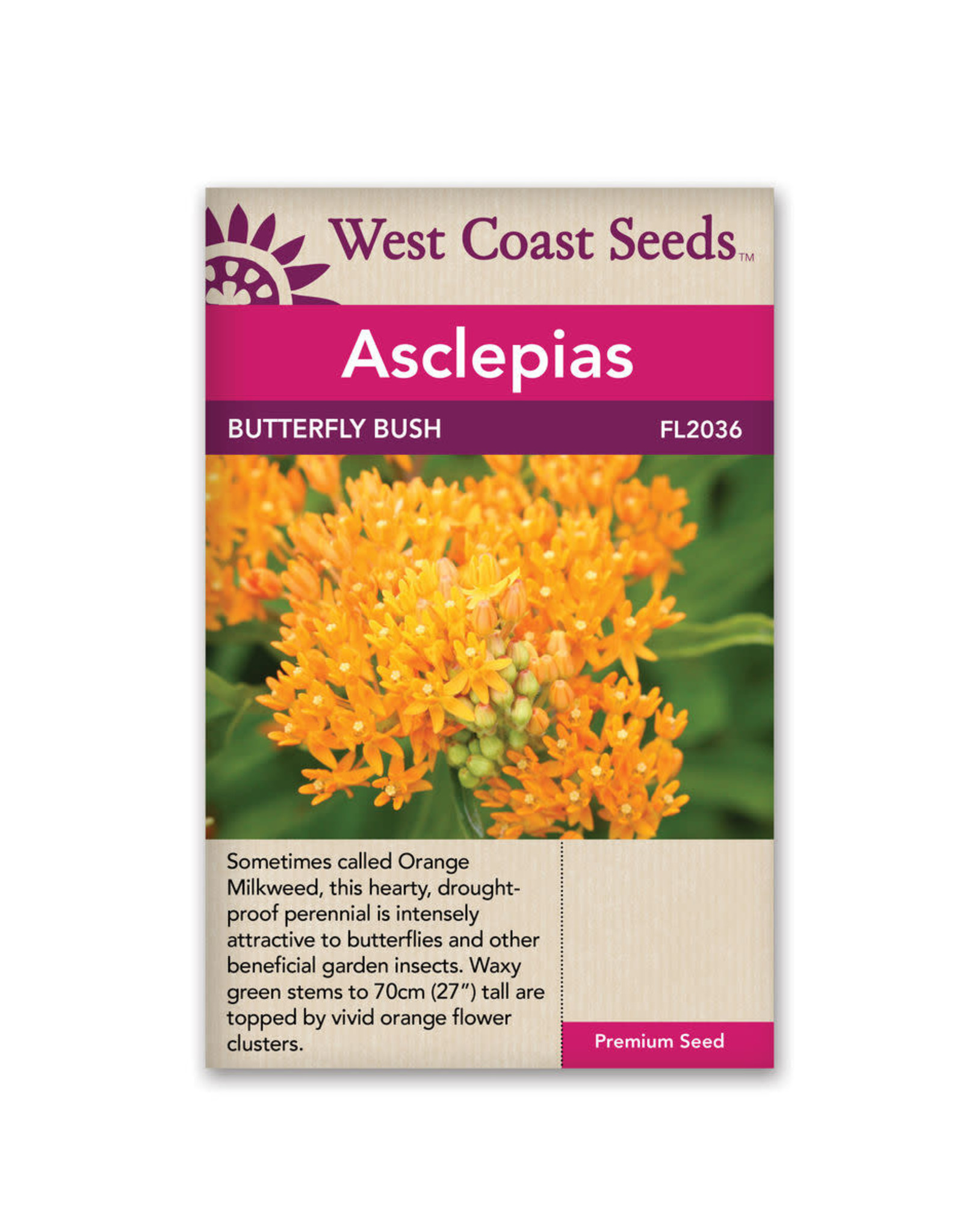 West Coast Seeds Milkweed - Butterfly Bush