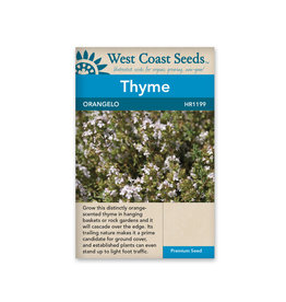 Orangelo Thyme (25 Seeds)