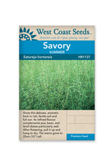 West Coast Seeds Savory - Summer Savory