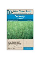 West Coast Seeds Summer Savory