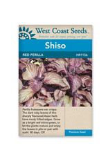 West Coast Seeds Shisho - Red Perilla Shiso