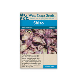 West Coast Seeds Red Perilla Shiso