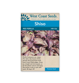 West Coast Seeds Shisho - Red Perilla Shiso
