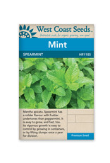 West Coast Seeds Mint - Spearmint
