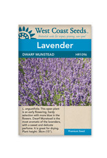 West Coast Seeds Lavender - Dwarf Munstead