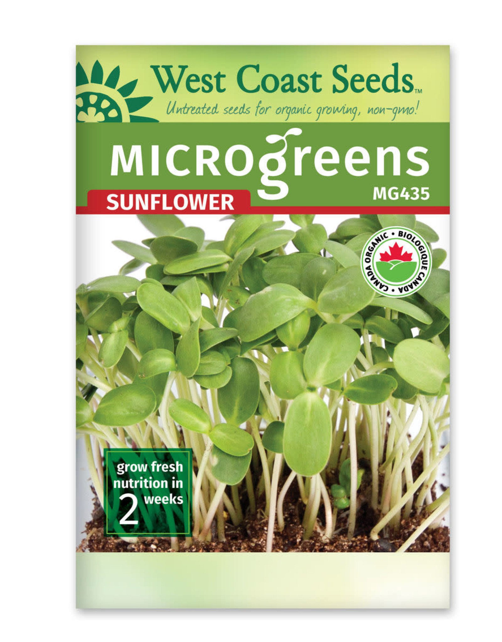 West Coast Seeds Sunflowers - Microgreen Sunflower Organic