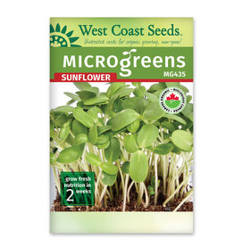 West Coast Seeds Sunflowers - Microgreen Sunflower Organic