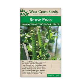 West Coast Seeds Peas - Mammoth Melting Sugar