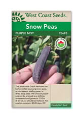 West Coast Seeds Peas - Purple Mist Organic