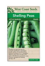 West Coast Seeds Peas - Little Marvel