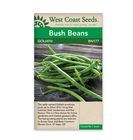 West Coast Seeds Goliath (50 Seeds)