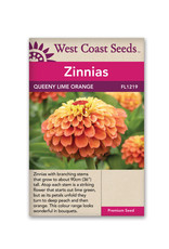 West Coast Seeds Zinnias - Queeny Lime Orange