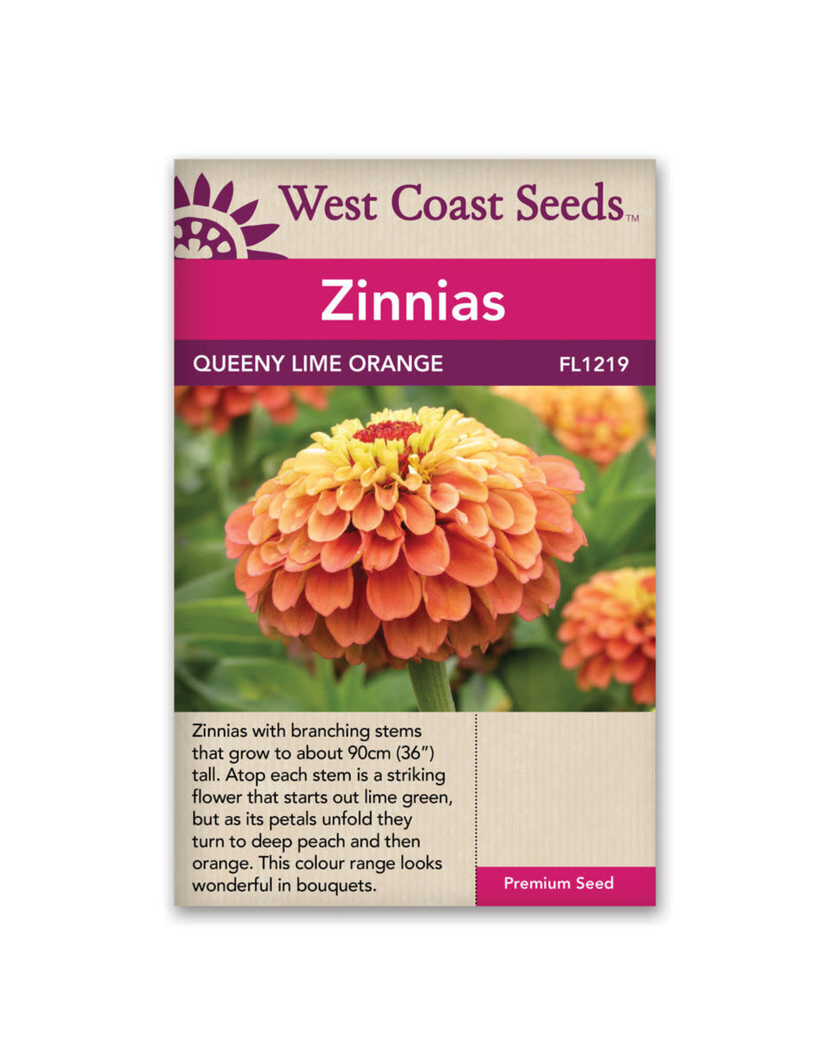 West Coast Seeds Zinnias - Queeny Lime Orange