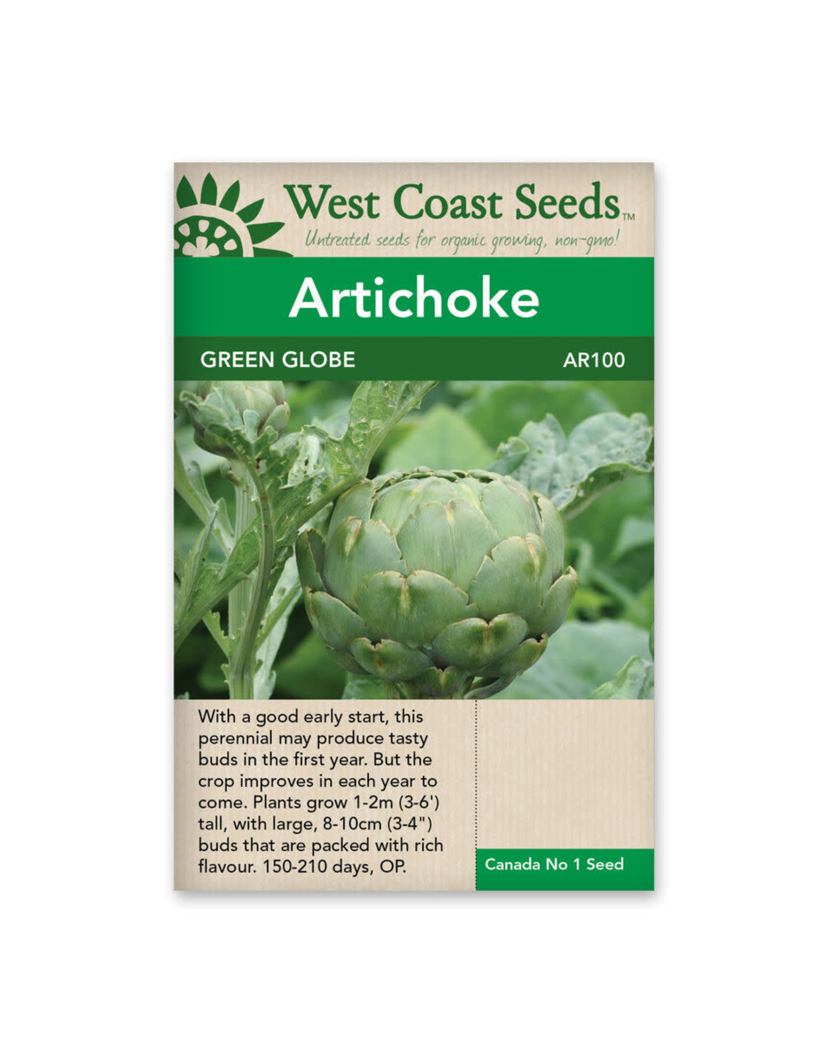 West Coast Seeds Green Globe Artichoke Seed