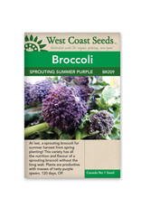 West Coast Seeds Summer Purple