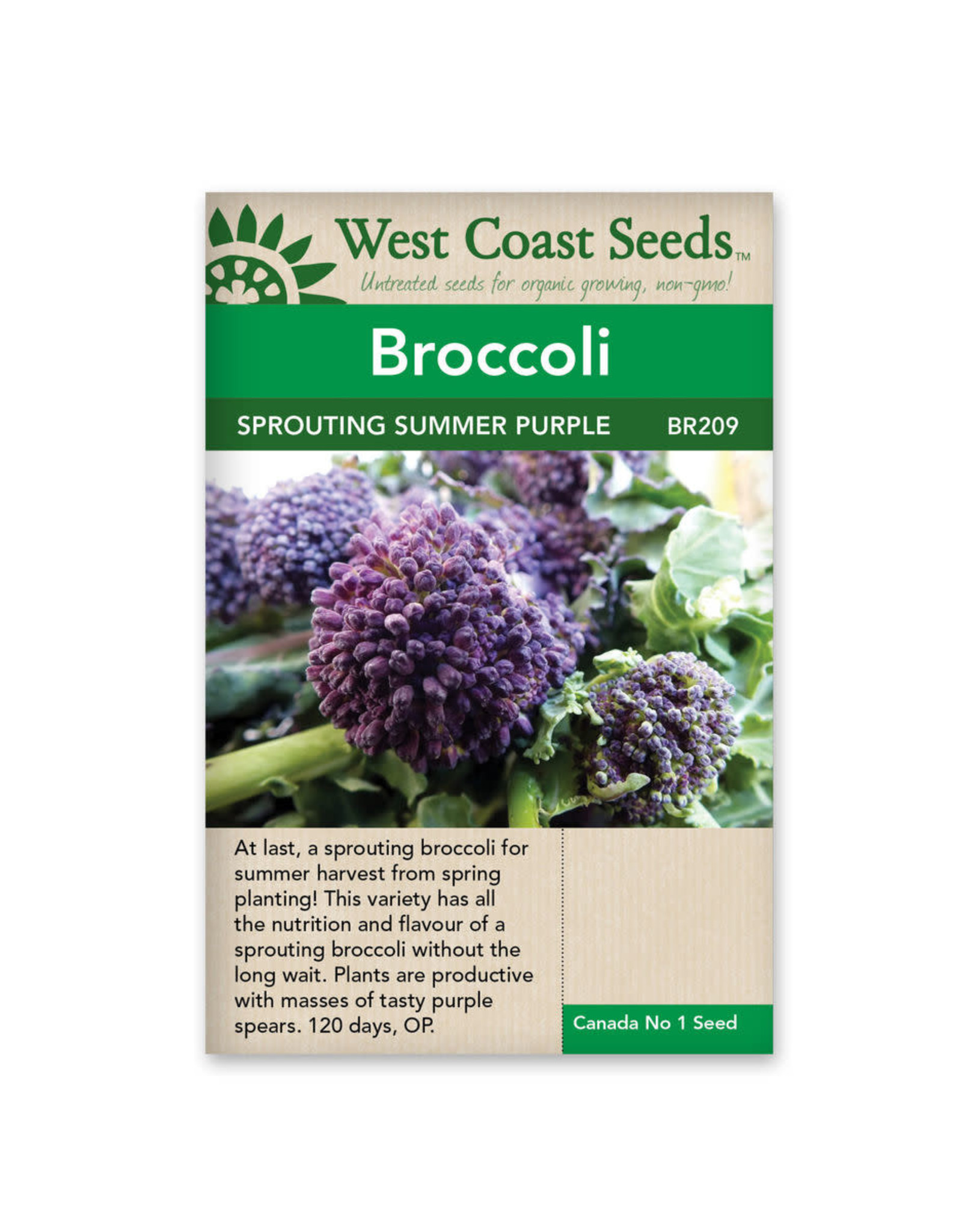 West Coast Seeds Summer Purple