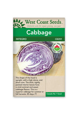 West Coast Seeds Integro F1 (Coated) Certified Organic (15 Seeds)
