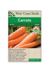 West Coast Seeds Carrots - Yaya F1 Coated Organic