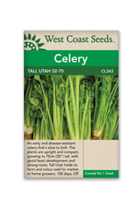 West Coast Seeds Celery - Tall Utah 52-70