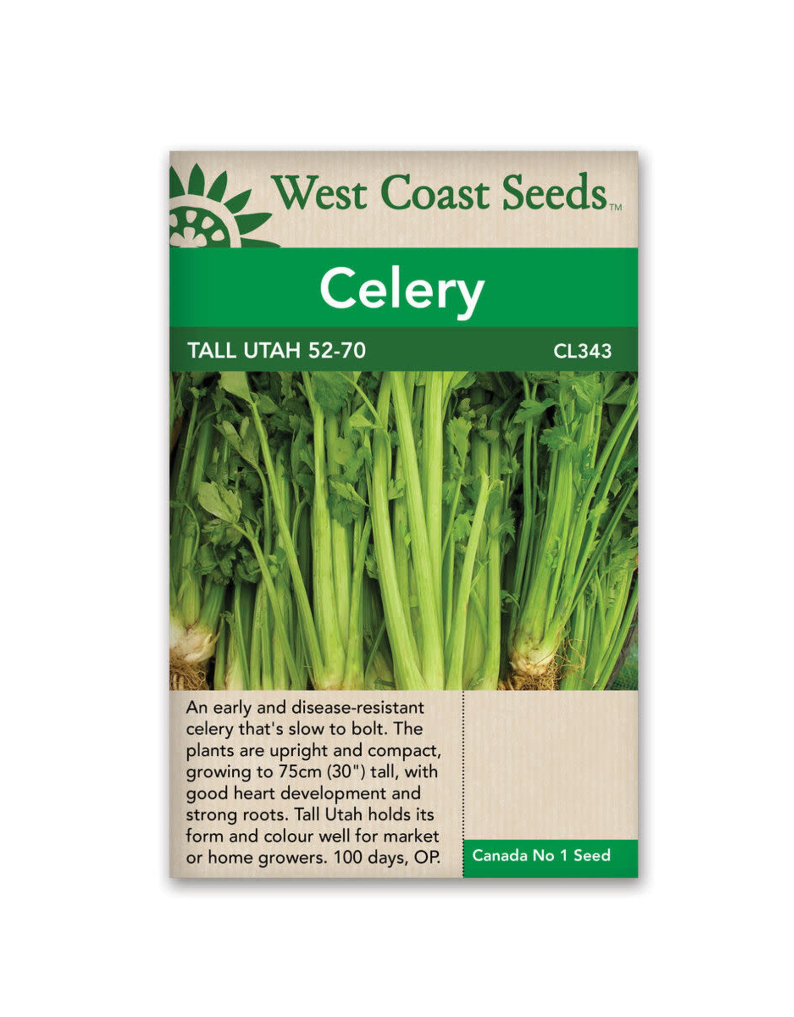 West Coast Seeds Celery - Tall Utah 52-70