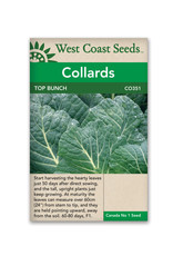 West Coast Seeds Collards - Top Bunch 2.0 F1