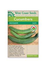 West Coast Seeds Roxynante F1 Certified Organic (5 Seeds)
