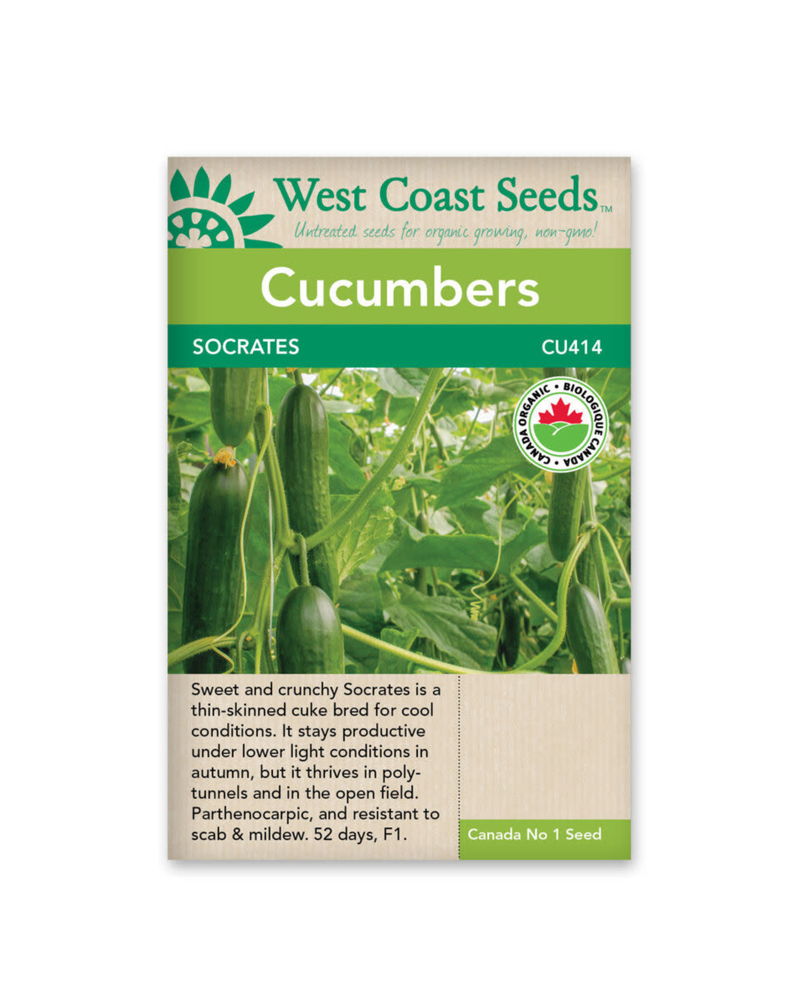 West Coast Seeds Cucumbers - Socrates F1 Organic