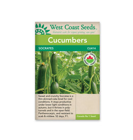 West Coast Seeds Cucumbers - Socrates F1 Organic