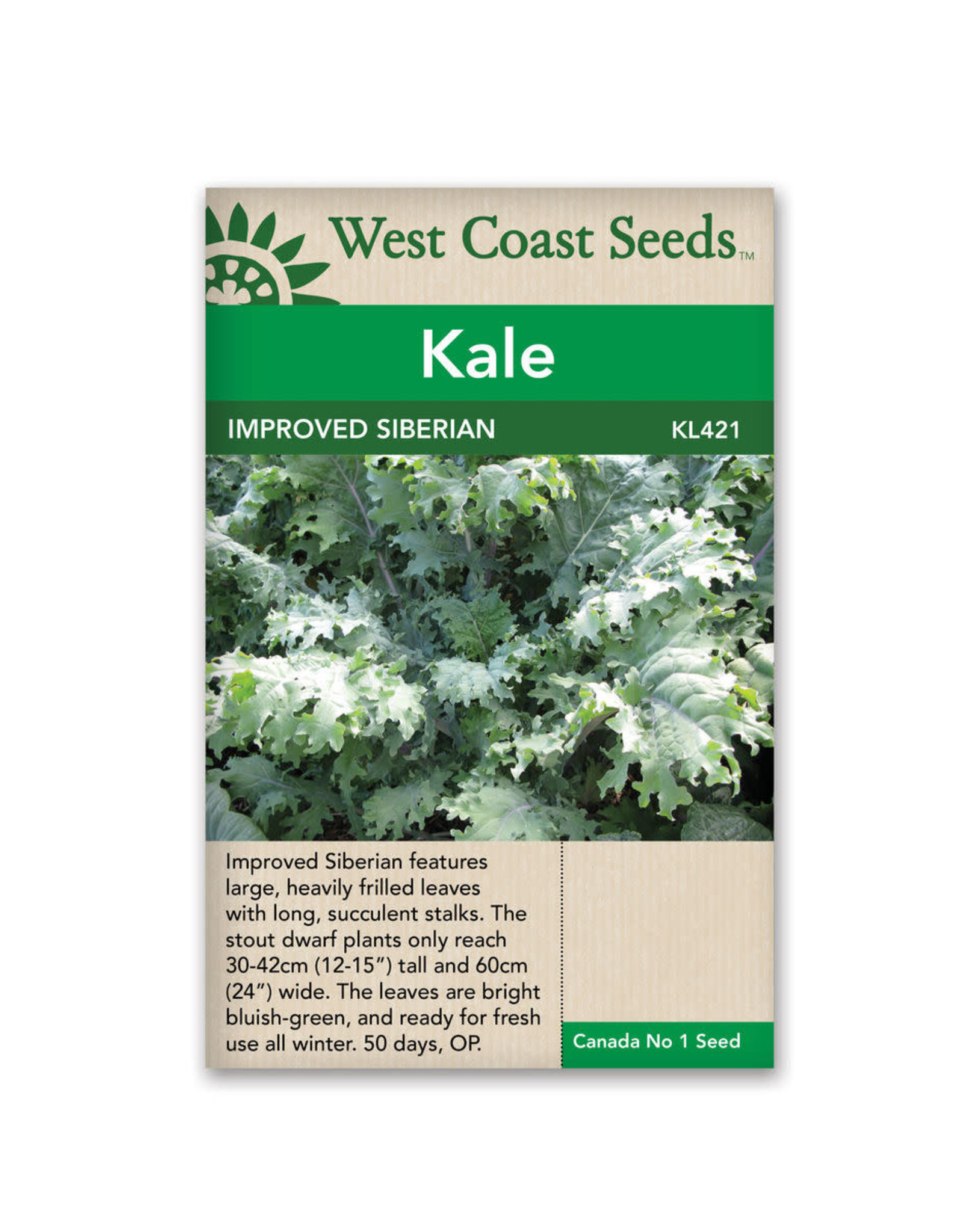 West Coast Seeds Kale - Improved Siberian