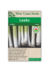 West Coast Seeds Alto - Varna Certified Organic