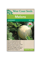 West Coast Seeds Melons - Divergent F1 Organic
