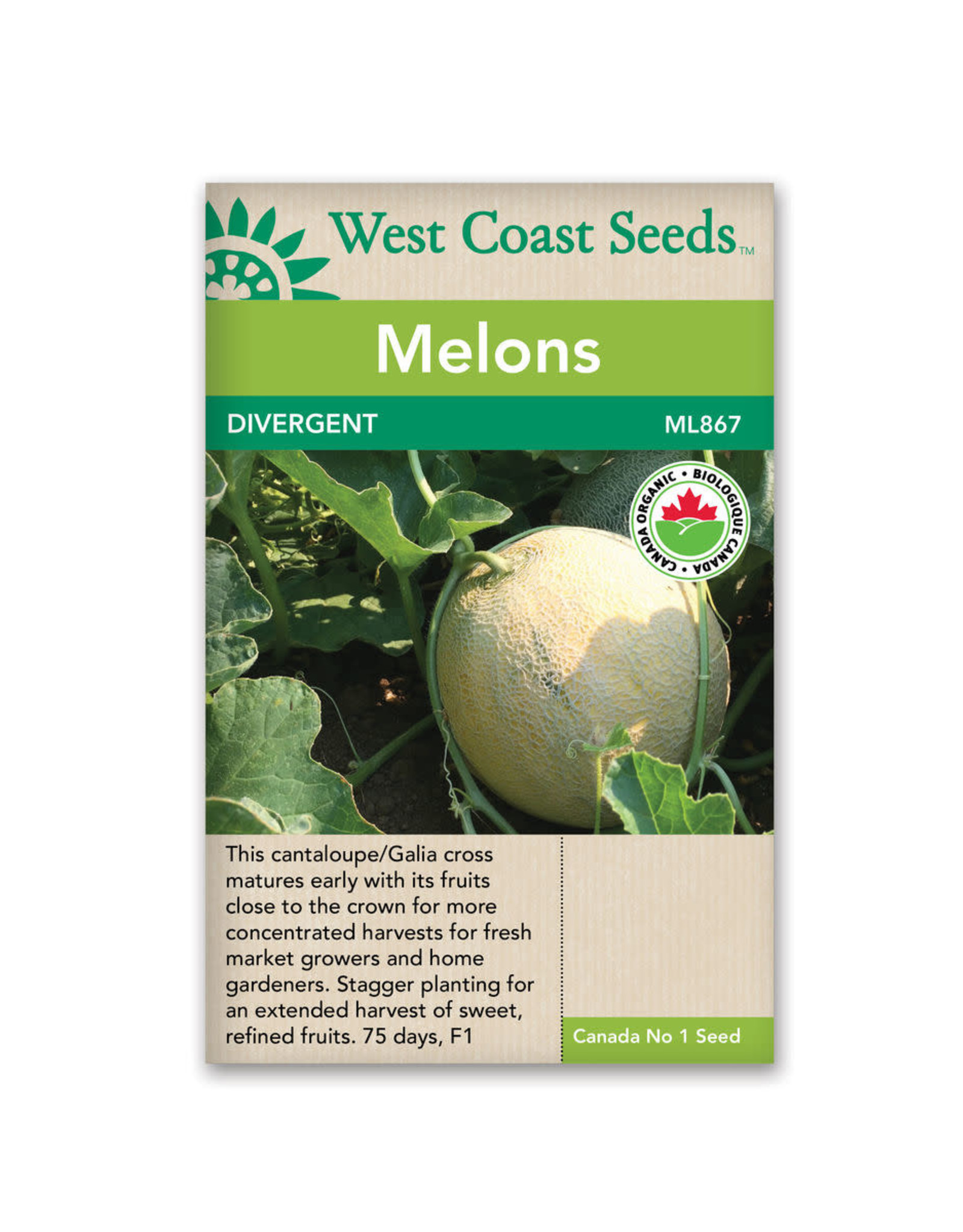 West Coast Seeds Melons - Divergent F1 Organic