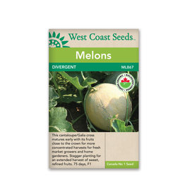 West Coast Seeds Melons - Divergent F1 Organic