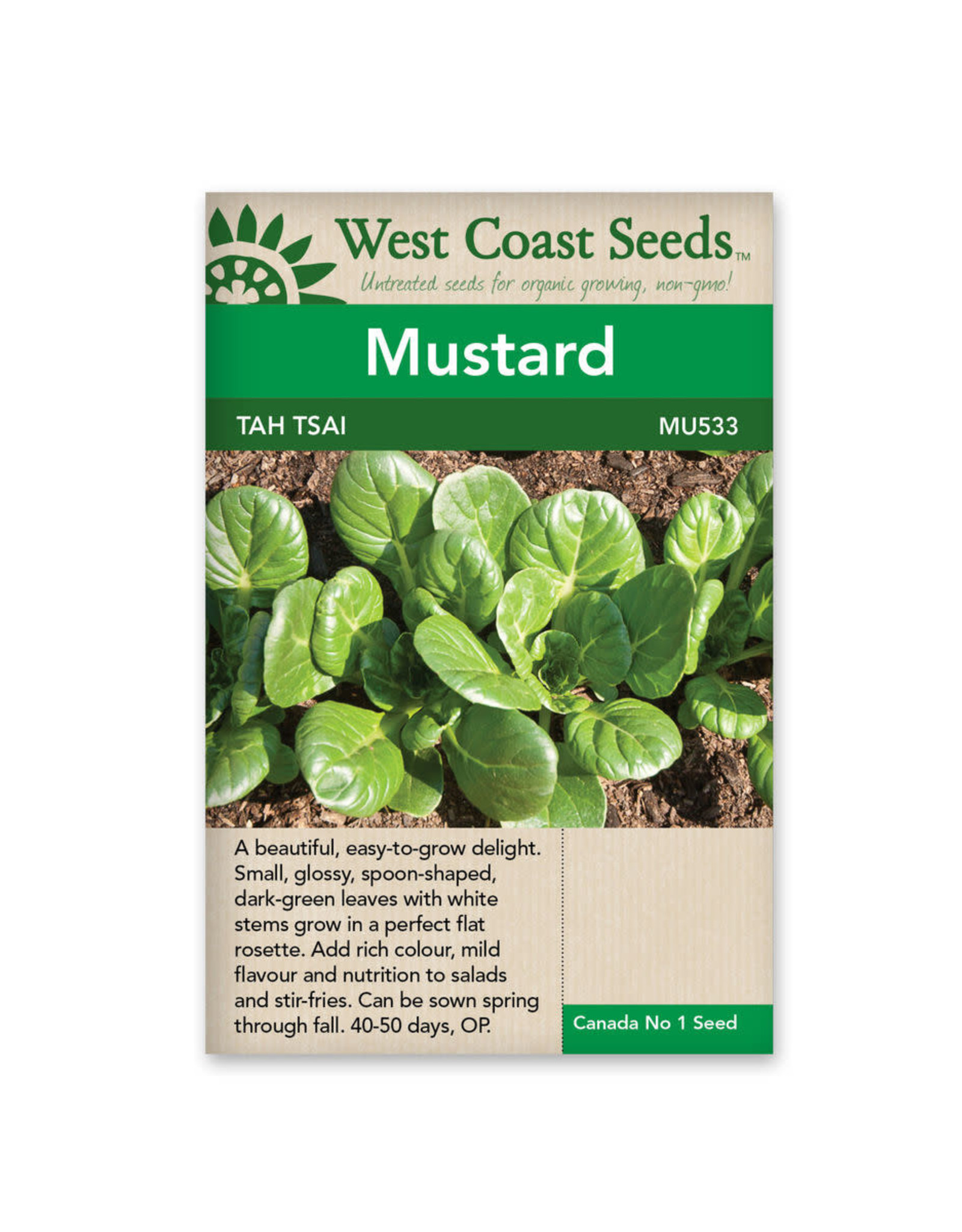 West Coast Seeds Greens - Tah Tsai
