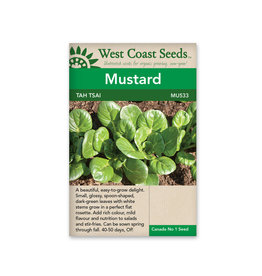 West Coast Seeds Greens - Tah Tsai