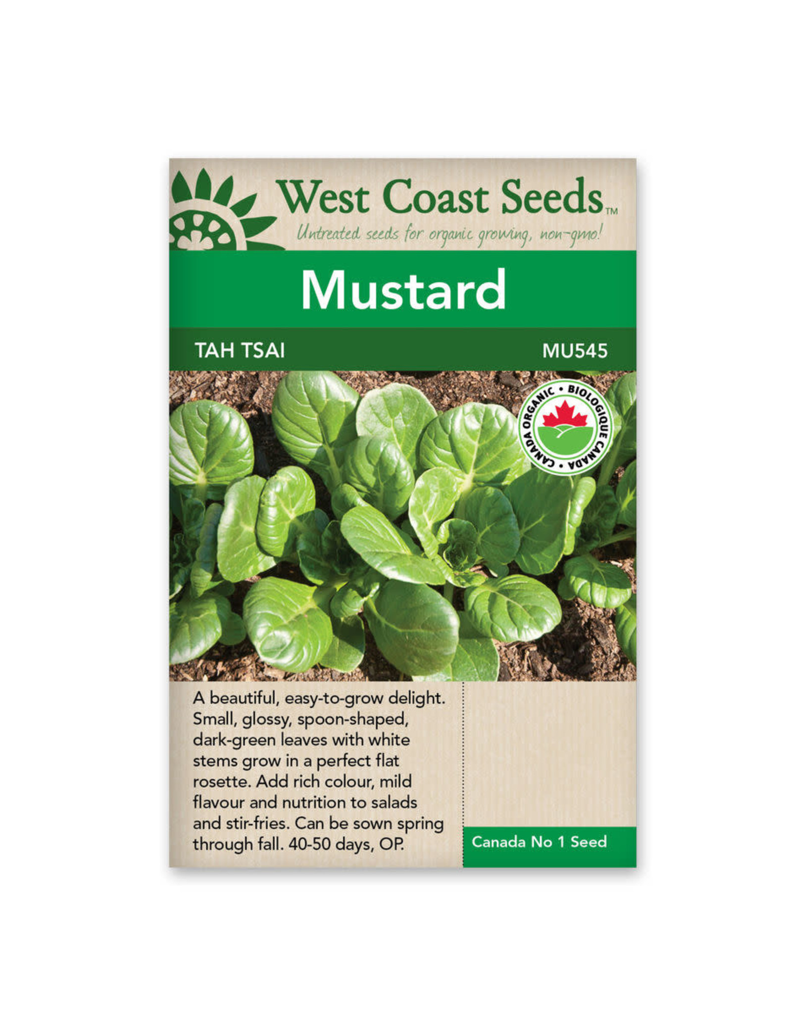 West Coast Seeds Greens - Tah Tsai Certified Organic
