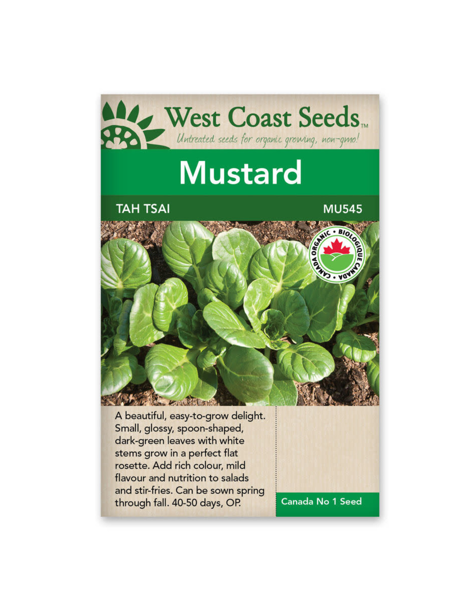 West Coast Seeds Tah Tsai Certified Organic