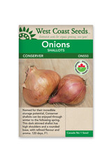 West Coast Seeds Conservor F1 (Coated) Certified Organic (50 Seeds)