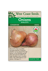 West Coast Seeds Onions - Conservor F1 Coated Organic