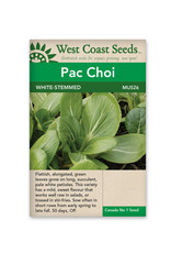 West Coast Seeds Pac Choi - White-Stemmed Pac Choi