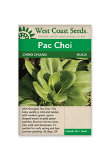 West Coast Seeds Pac Choi - Ching Chiang Shanghai