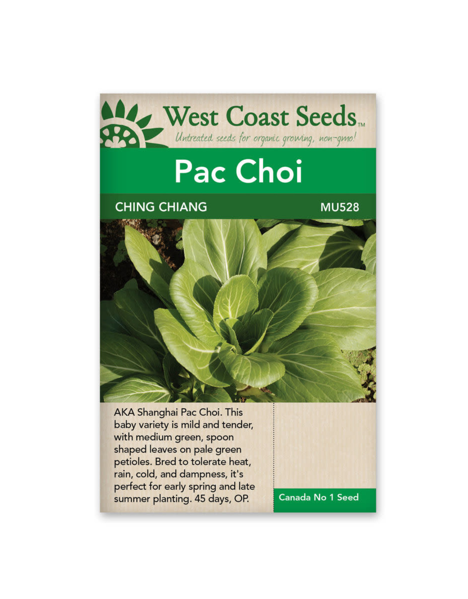 West Coast Seeds Ching Chiang Shanghai