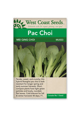 West Coast Seeds Pac Choi - Mei Qing Choi F1